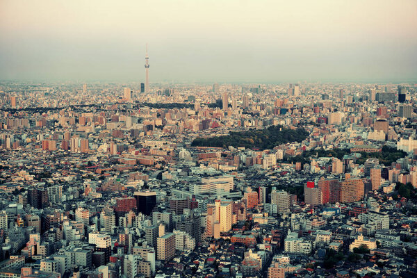 Tokyo Skytree and urban skyline rooftop view at sunset, Japan.