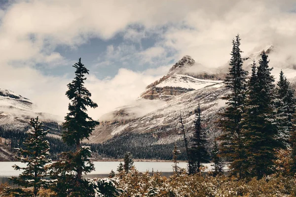 Bow Lake Con Montaña Nevada Bosque Parque Nacional Banff — Foto de Stock