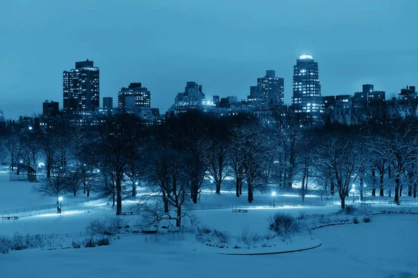 中央公园在冬天夜与摩天大楼在曼哈顿中城 纽约城市 — 图库照片