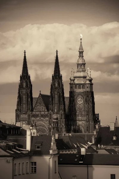 布拉格城堡 捷克共和国圣维他大教堂 — 图库照片