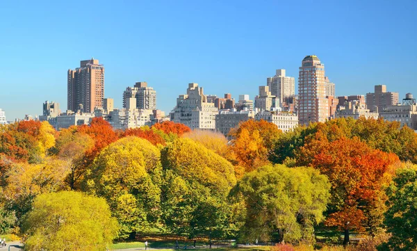 Lake Autumn Foliage Apartment Buildings Central Park Midtown Manhattan New — Stock Photo, Image