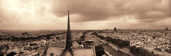 Panoramisch Uitzicht Parijs Het Dak Van Notre Dame Kathedraal — Stockfoto