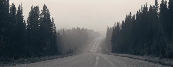 Foggy Road Forest Banff National Park — Stock Photo, Image