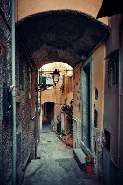 Vista Típica Beco Riomaggiore Cinque Terre Itália — Fotografia de Stock
