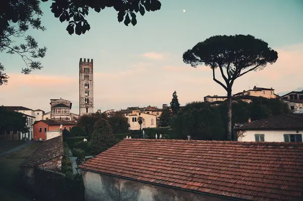 Basilica San Frediano Lucca Con Edifici Storici Tramonto Italia — Foto Stock
