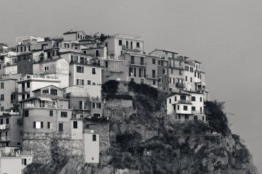 İtalya 'nın Cinque Terre kentindeki Manarola uçurumunda İtalyan tarzı yerleşik binalar..