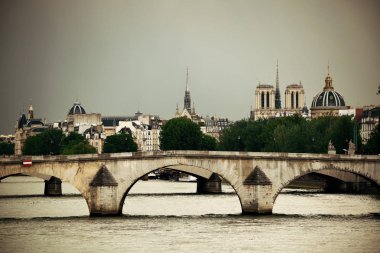 Köprü ve tarihi mimarisi olan Paris Nehri Seine