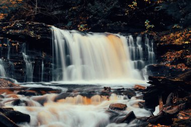 Parkta renkli yapraklarla sonbahar şelaleleri.