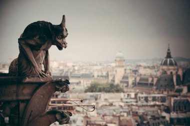 Notre-Dame Katedrali 'nin Paris çatı manzarası.