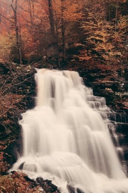Parkta renkli yapraklarla sonbahar şelaleleri.