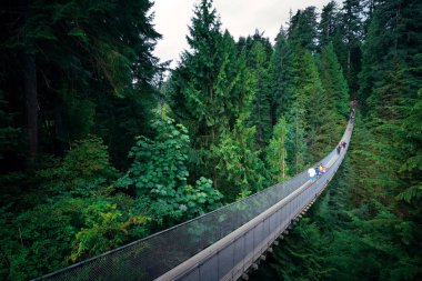Vancouver, Kanada 'daki Capilano Askı Köprüsü.
