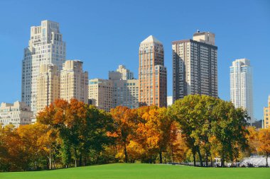 Manhattan şehir merkezi gökyüzü New York 'taki Central Park' tan izleniyor..