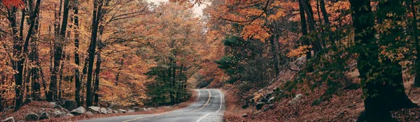 Outono Folhagem Colorida Paisagem Natural Panorama — Fotografia de Stock