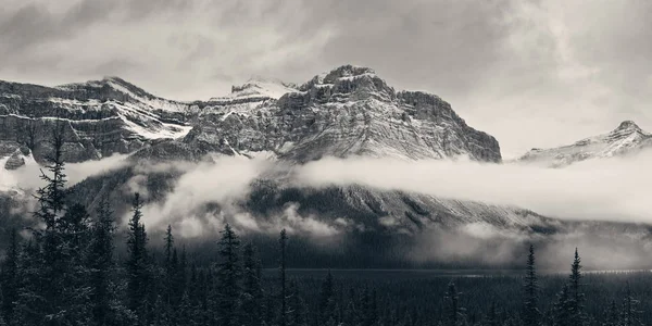 Panorama Lago Bow Com Neve Tampada Montanha Floresta Parque Nacional — Fotografia de Stock