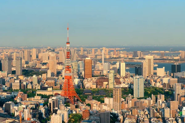 Tokyo Tower Urban Skyline Top View Sunset Japan — стокове фото