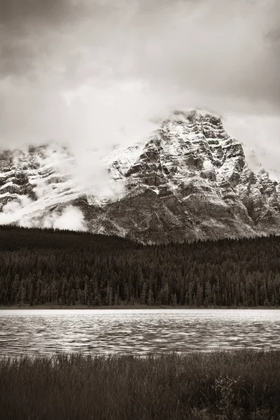 Βουνά Και Δάσος Στο Bow Lake Ομίχλη Στο Banff National — Φωτογραφία Αρχείου