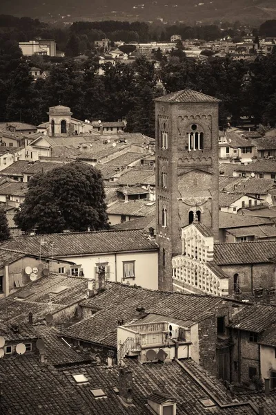 Lucca Saat Kulesi Talya Yukarıdan Görünüyor — Stok fotoğraf