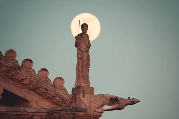 意大利比萨的米兰科利广场 大教堂屋顶上有月亮的雕像 — 图库照片