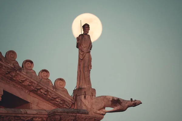 Staty Skulptur Taket Katedralen Med Månen Piazza Dei Miracoli Pisa — Stockfoto