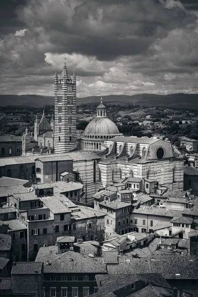 Talya Siena Katedrali Ufuk Çizgisi Manzaralı Ortaçağ Kasabası — Stok fotoğraf