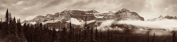 Bow Lake Panorama Met Besneeuwde Bedekte Berg Bos Banff National — Stockfoto