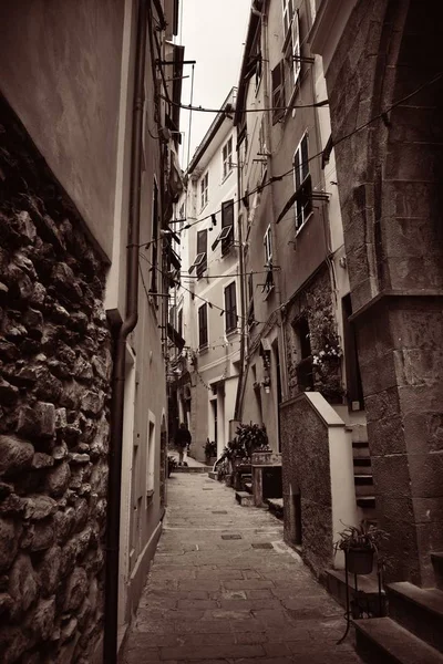 Vista Típica Beco Riomaggiore Cinque Terre Itália — Fotografia de Stock