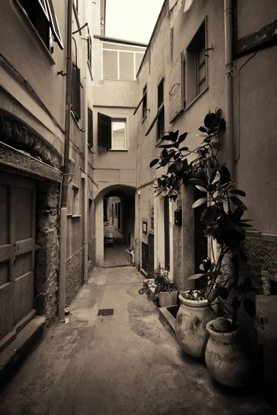 Típica Vista Callejón Riomaggiore Cinque Terre Italia —  Fotos de Stock