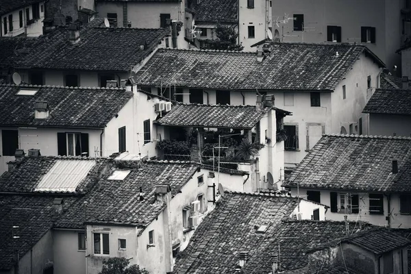 Lucca Tető Felülnézetből Olaszországban — Stock Fotó