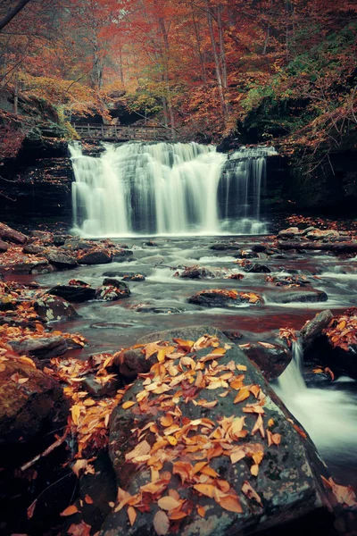 紅葉の美しい公園の秋の滝 — ストック写真