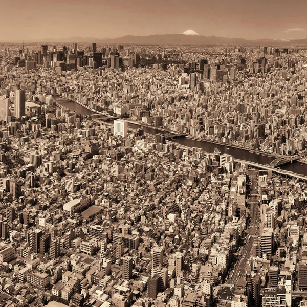 Токіо Міського Горизонту Даху Видом Річковим Гора Фудзі Японія — стокове фото