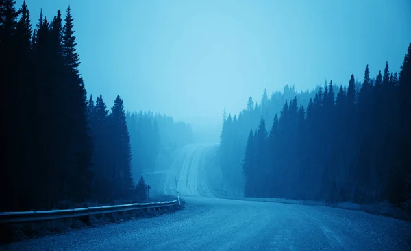 Route Sinueuse Forêt Dans Parc National Banff — Photo