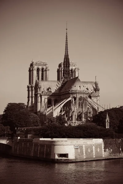 Rio Sena Paris Com Catedral Notre Dame França — Fotografia de Stock