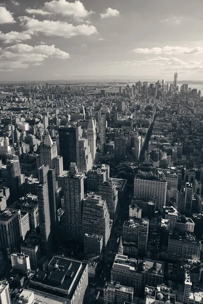 Vista Del Horizonte Del Centro Nueva York —  Fotos de Stock