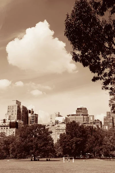 ミッドタウンのスカイラインを持つセントラルパーク春 マンハッタンニューヨークシティ — ストック写真