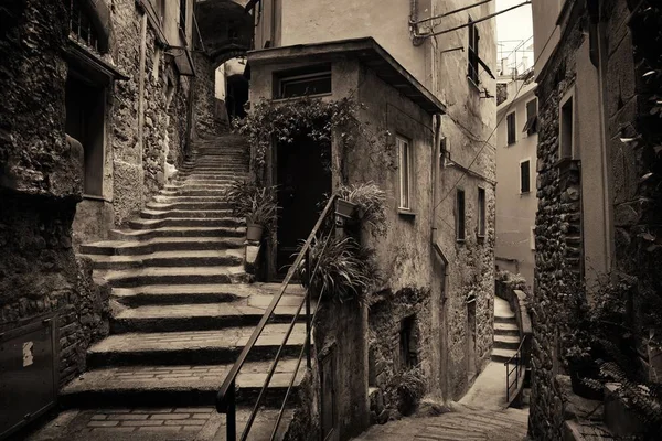 Uitzicht Een Typisch Straatje Riomaggiore Cinque Terre Italië — Stockfoto