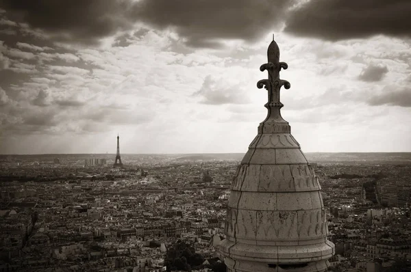 대성당 프랑스 파리에서에서 타워의 상단에서 — 스톡 사진