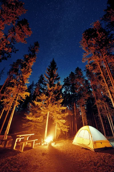 カナダのバンフ国立公園で星とたき火で森の中でキャンプ — ストック写真
