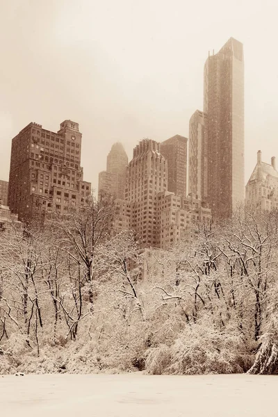 Central Park Inverno Com Arranha Céus Centro Manhattan Nova York — Fotografia de Stock