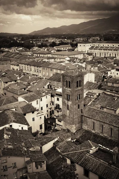 Panoramatický Pohled Lucca Historických Budov Itálie — Stock fotografie