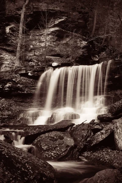 Watervallen Het Bos Zwart Wit — Stockfoto