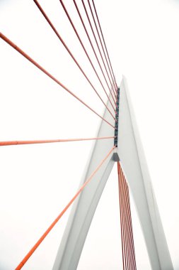 Chongqing, Çin 'de köprü kapatıldı..