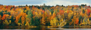 New England Stowe 'da sonbahar yaprakları ve dağları ile göl