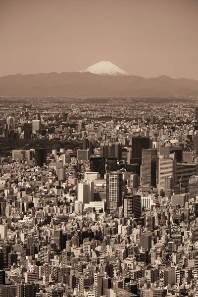 富士山と東京都のスカイライン屋上ビュー — ストック写真