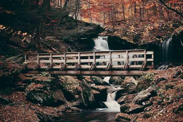 Herfst Watervallen Park Met Kleurrijk Gebladerte — Stockfoto