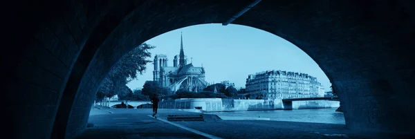 Париж Река Панорамой Собора Парижской Богоматери Франции — стоковое фото