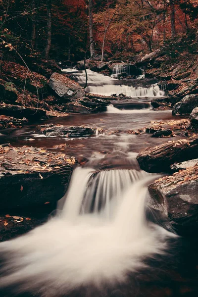 Parkta renkli yapraklarla sonbahar şelaleleri.