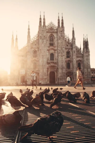 Duva Cathedral Square Eller Piazza Del Duomo Milano Italien — Stockfoto