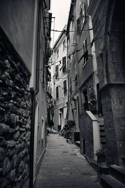 Widok Typowych Alley Riomaggiore Cinque Terre Włochy — Zdjęcie stockowe