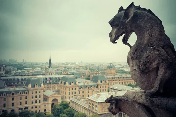 Pohled Střechu Paříže Katedrály Notre Dame — Stock fotografie