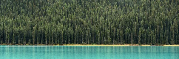 Panorama Florestal Beira Mar Lago Parque Nacional Banff Canadá — Fotografia de Stock